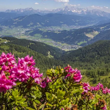 Apartamento Gfoeller Flachau