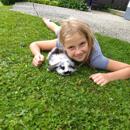 Apartament Gfoeller *