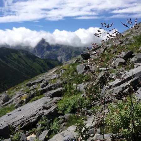 Apartamento Gfoeller Flachau