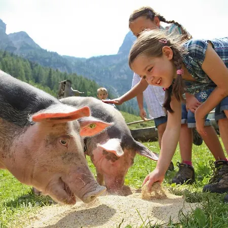 Apartamento Gfoeller