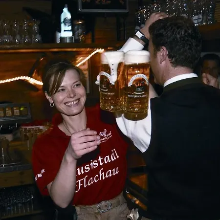 Apartament Gfoeller Flachau