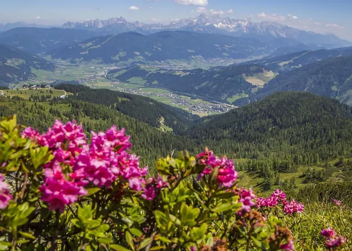 Apartament Gfoeller Flachau