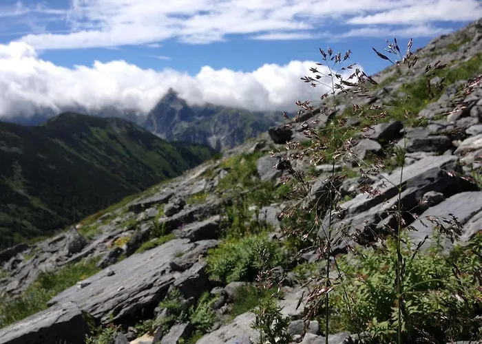 アパート Gfoeller フラッハウ